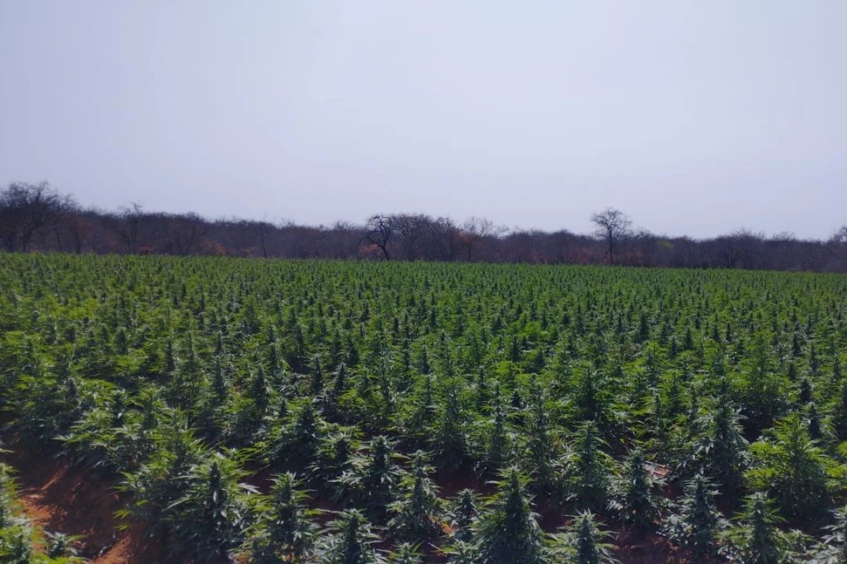 Ícone de sino para notificações