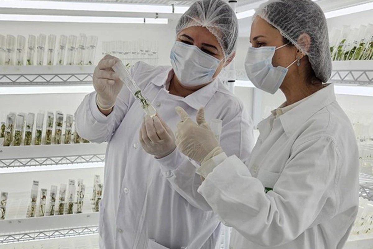 Ícone de sino para notificações