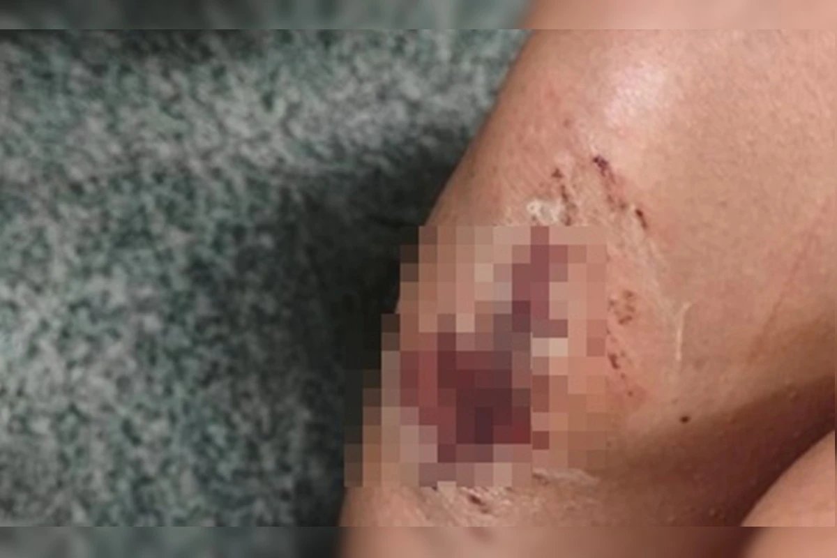 Ícone de sino para notificações