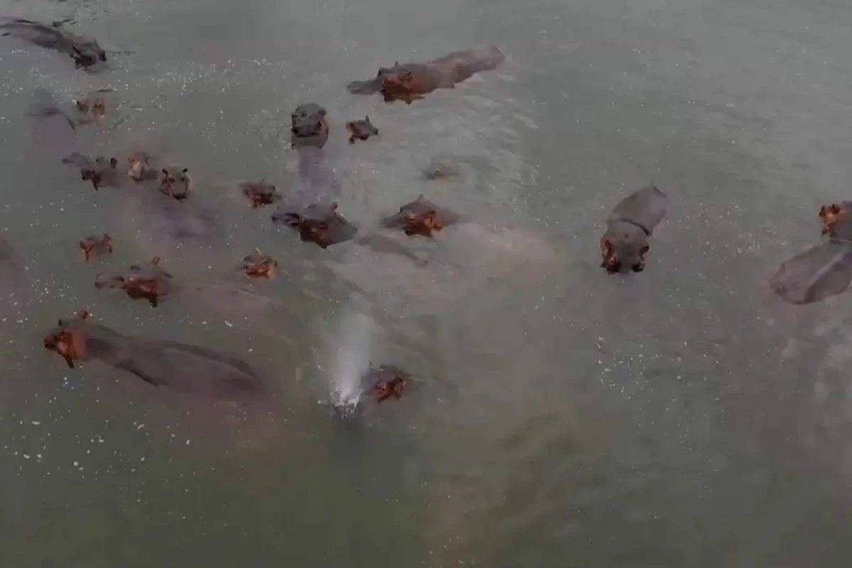 Ícone de sino para notificações