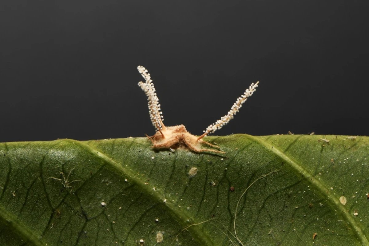 Ícone de sino para notificações