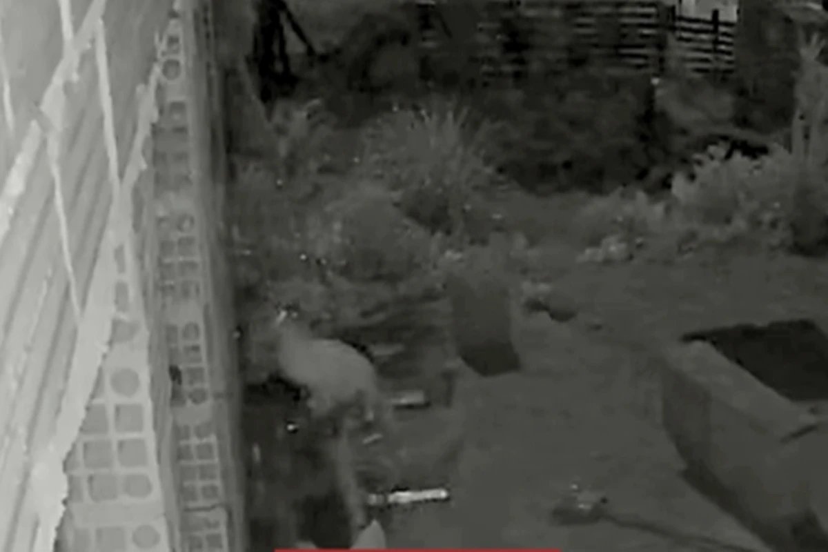 Ícone de sino para notificações