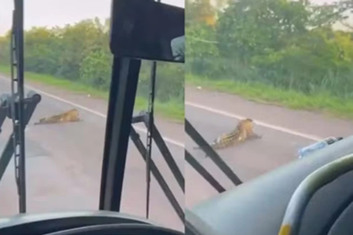 Ícone de sino para notificações