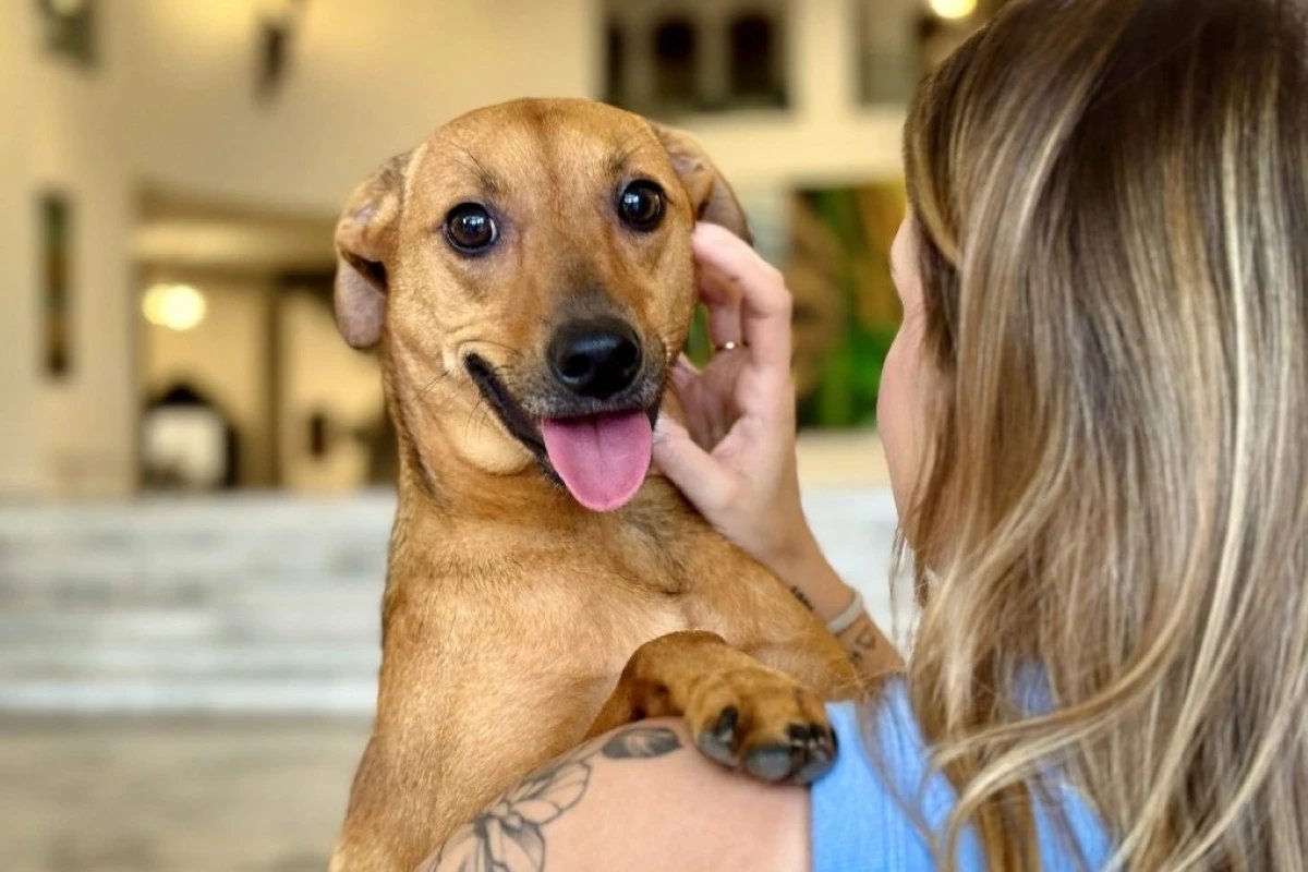 Ícone de sino para notificações