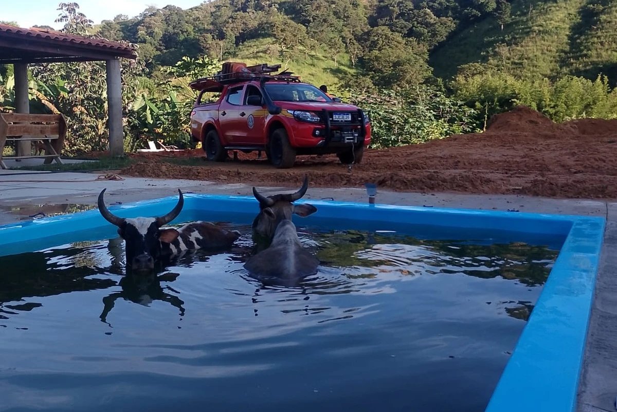 Ícone de sino para notificações