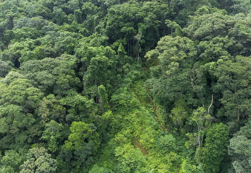 Fundação Florestal de SP encerra inscrições de concurso público para 68 vagas neste domingo (19)