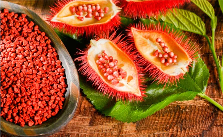 Colorau além do tempero: conheça a planta brasileira mais usada pela indústria para dar cor aos alimentos