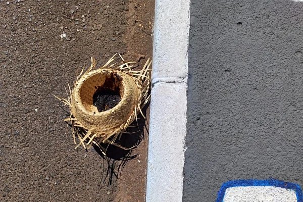 Morador de rua arremessa chapéu recheado de fezes em prédio no DF - destaque galeria