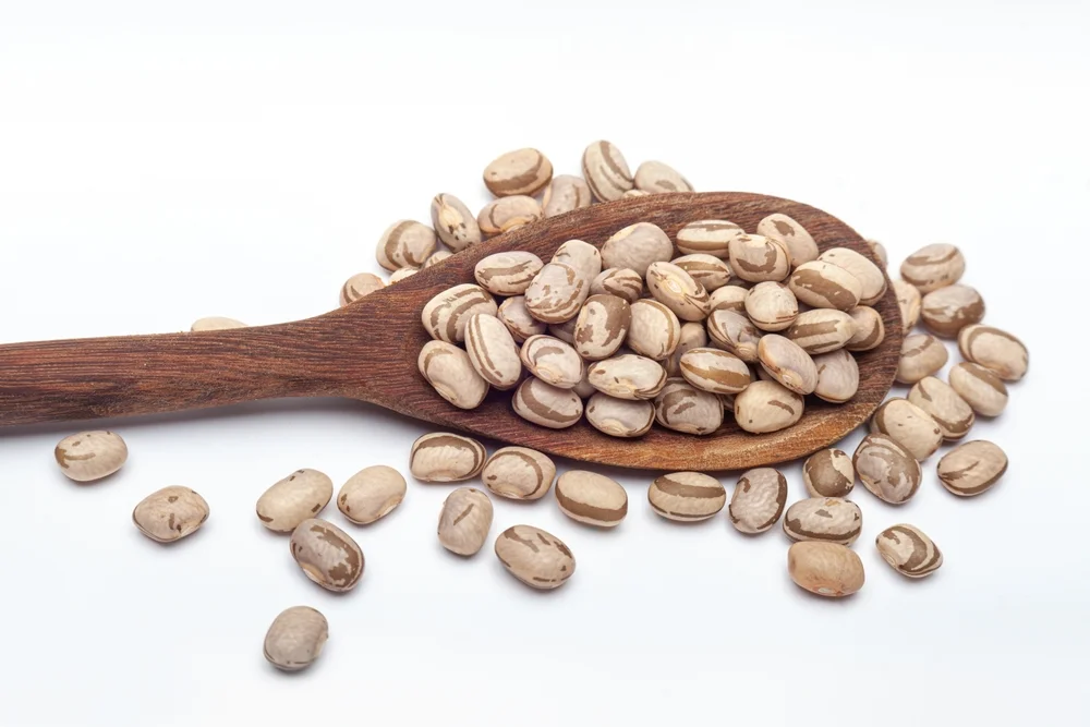 Como pesquisadores transformam o feijão carioca em ingrediente proteico de alto valor