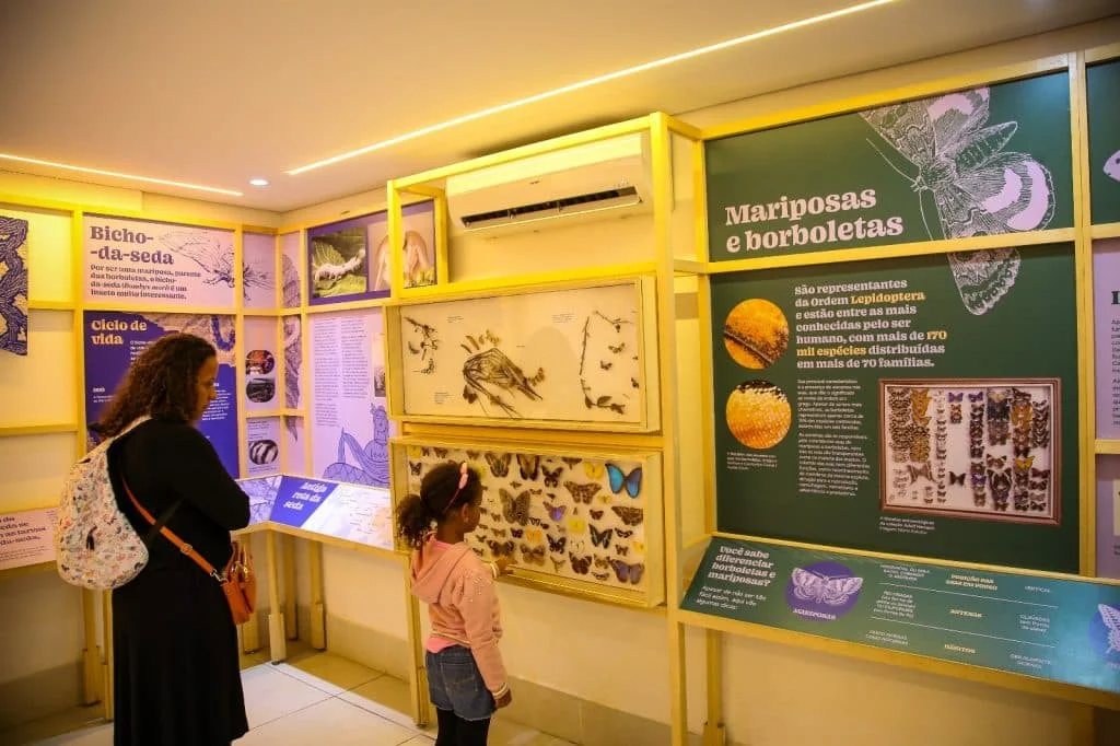 Planeta Inseto: conheça a exposição científica gratuita na zona sul de SP